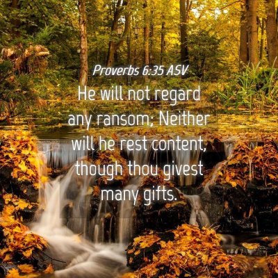 Picture 04 - Proverbs 6:35 ASV - He will not regard any ransom; Neither will he - Bible Verse Picture