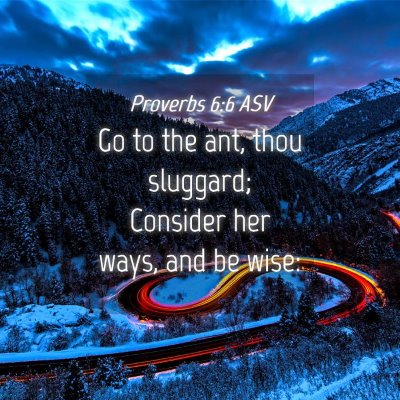 Picture 04 - Proverbs 6:6 ASV - Go to the ant, thou sluggard; Consider her ways, - Bible Verse Picture