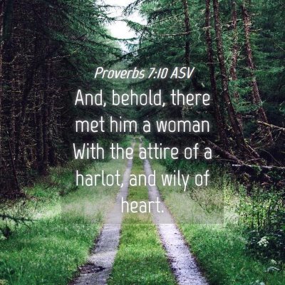 Picture 04 - Proverbs 7:10 ASV - And, behold, there met him a woman With the - Bible Verse Picture