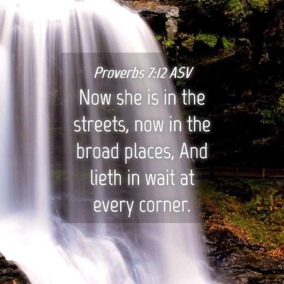 Picture 04 - Proverbs 7:12 ASV - Now she is in the streets, now in the broad - Bible Verse Picture