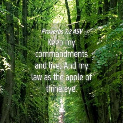 Picture 04 - Proverbs 7:2 ASV - Keep my commandments and live; And my law as the - Bible Verse Picture