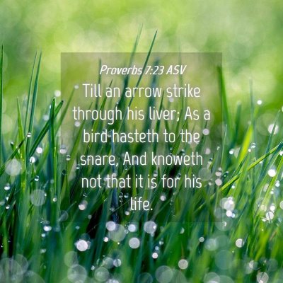 Picture 04 - Proverbs 7:23 ASV - Till an arrow strike through his liver; As a bird - Bible Verse Picture