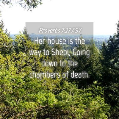 Picture 04 - Proverbs 7:27 ASV - Her house is the way to Sheol, Going down to the - Bible Verse Picture