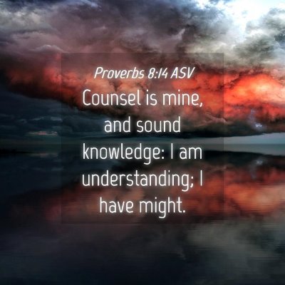 Picture 04 - Proverbs 8:14 ASV - Counsel is mine, and sound knowledge: I am - Bible Verse Picture