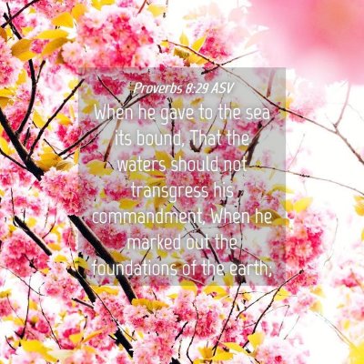 Picture 04 - Proverbs 8:29 ASV - When he gave to the sea its bound, That the - Bible Verse Picture