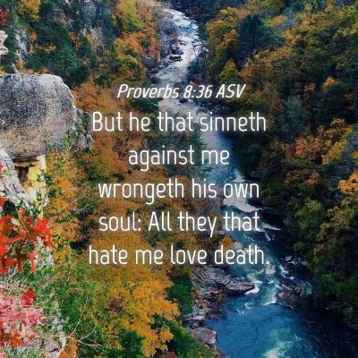 Picture 04 - Proverbs 8:36 ASV - But he that sinneth against me wrongeth his own - Bible Verse Picture