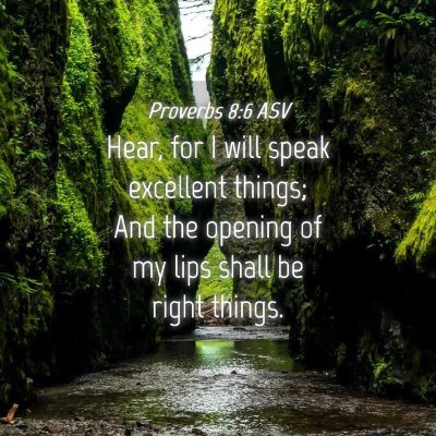 Picture 04 - Proverbs 8:6 ASV - Hear, for I will speak excellent things; And the - Bible Verse Picture