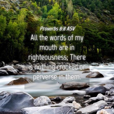 Picture 04 - Proverbs 8:8 ASV - All the words of my mouth are in righteousness; - Bible Verse Picture