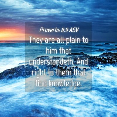 Picture 04 - Proverbs 8:9 ASV - They are all plain to him that understandeth, And - Bible Verse Picture