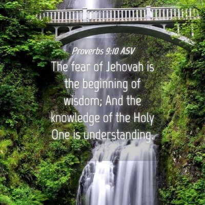 Picture 04 - Proverbs 9:10 ASV - The fear of Jehovah is the beginning of wisdom; - Bible Verse Picture