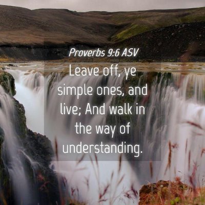 Picture 04 - Proverbs 9:6 ASV - Leave off, ye simple ones, and live; And walk in - Bible Verse Picture