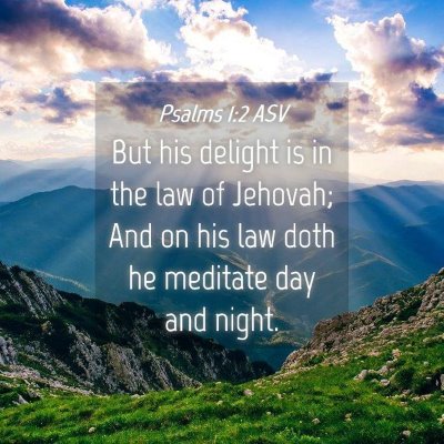 Picture 04 - Psalms 1:2 ASV - But his delight is in the law of Jehovah; And on - Bible Verse Picture