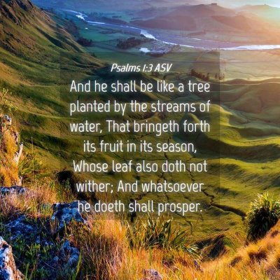 Picture 04 - Psalms 1:3 ASV - And he shall be like a tree planted by the - Bible Verse Picture