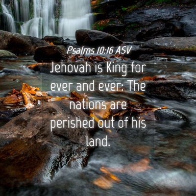 Picture 04 - Psalms 10:16 ASV - Jehovah is King for ever and ever: The nations - Bible Verse Picture