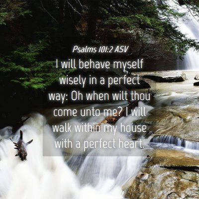Picture 04 - Psalms 101:2 ASV - I will behave myself wisely in a perfect way: Oh - Bible Verse Picture