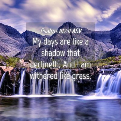Picture 04 - Psalms 102:11 ASV - My days are like a shadow that declineth; And I - Bible Verse Picture