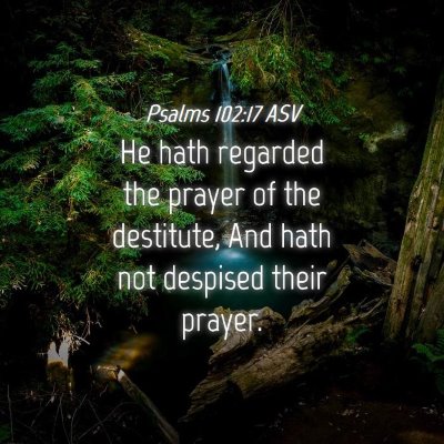 Picture 04 - Psalms 102:17 ASV - He hath regarded the prayer of the destitute, And - Bible Verse Picture