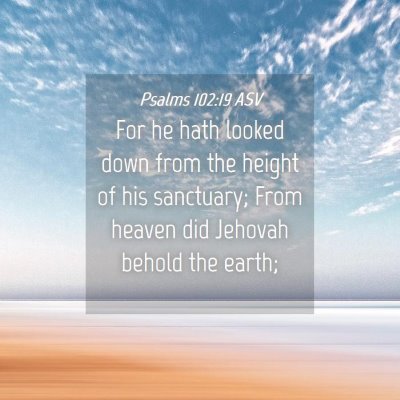 Picture 04 - Psalms 102:19 ASV - For he hath looked down from the height of his - Bible Verse Picture
