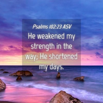 Picture 04 - Psalms 102:23 ASV - He weakened my strength in the way; He shortened - Bible Verse Picture