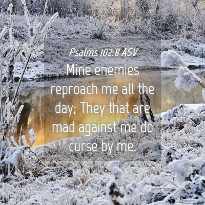 Picture 04 - Psalms 102:8 ASV - Mine enemies reproach me all the day; They that - Bible Verse Picture
