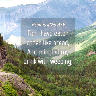 Picture 04 - Psalms 102:9 ASV - For I have eaten ashes like bread, And mingled my - Bible Verse Picture