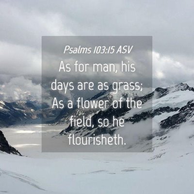 Picture 04 - Psalms 103:15 ASV - As for man, his days are as grass; As a flower of - Bible Verse Picture