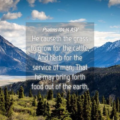 Picture 04 - Psalms 104:14 ASV - He causeth the grass to grow for the cattle, And - Bible Verse Picture