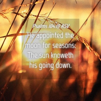 Picture 04 - Psalms 104:19 ASV - He appointed the moon for seasons: The sun - Bible Verse Picture