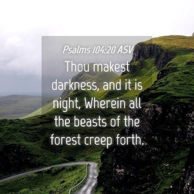 Picture 04 - Psalms 104:20 ASV - Thou makest darkness, and it is night, Wherein - Bible Verse Picture
