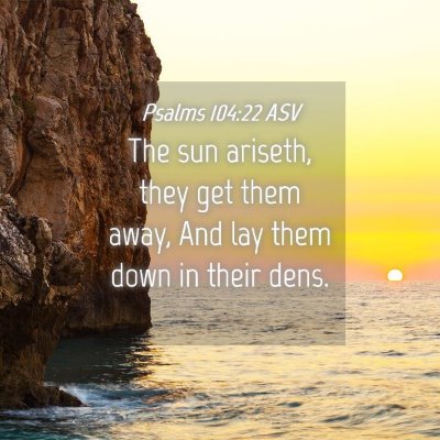 Picture 04 - Psalms 104:22 ASV - The sun ariseth, they get them away, And lay them - Bible Verse Picture