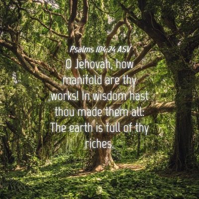 Picture 04 - Psalms 104:24 ASV - O Jehovah, how manifold are thy works! In wisdom - Bible Verse Picture