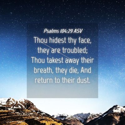 Picture 04 - Psalms 104:29 ASV - Thou hidest thy face, they are troubled; Thou - Bible Verse Picture