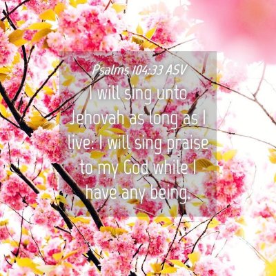 Picture 04 - Psalms 104:33 ASV - I will sing unto Jehovah as long as I live: I - Bible Verse Picture