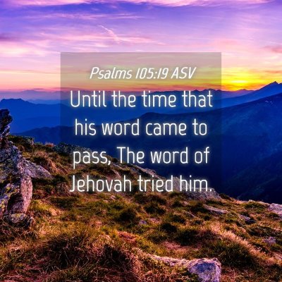 Picture 04 - Psalms 105:19 ASV - Until the time that his word came to pass, The - Bible Verse Picture