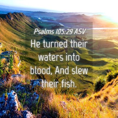 Picture 04 - Psalms 105:29 ASV - He turned their waters into blood, And slew their - Bible Verse Picture
