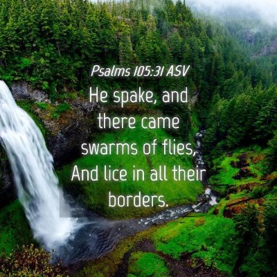 Picture 04 - Psalms 105:31 ASV - He spake, and there came swarms of flies, And - Bible Verse Picture