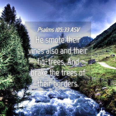 Picture 04 - Psalms 105:33 ASV - He smote their vines also and their fig-trees, - Bible Verse Picture