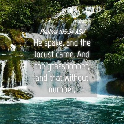 Picture 04 - Psalms 105:34 ASV - He spake, and the locust came, And the - Bible Verse Picture
