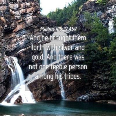 Picture 04 - Psalms 105:37 ASV - And he brought them forth with silver and gold; - Bible Verse Picture