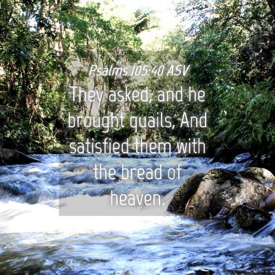 Picture 04 - Psalms 105:40 ASV - They asked, and he brought quails, And satisfied - Bible Verse Picture