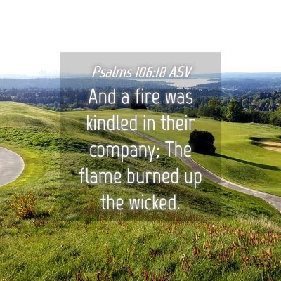 Picture 04 - Psalms 106:18 ASV - And a fire was kindled in their company; The - Bible Verse Picture