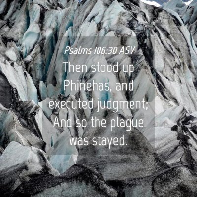 Picture 04 - Psalms 106:30 ASV - Then stood up Phinehas, and executed judgment; - Bible Verse Picture