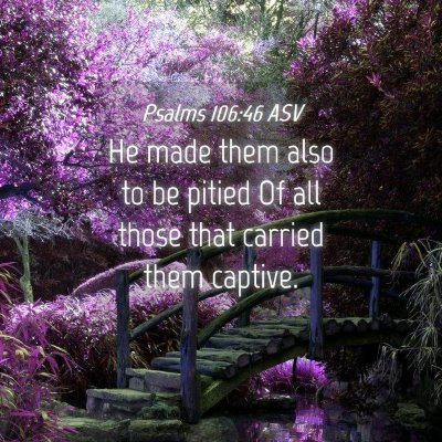 Picture 04 - Psalms 106:46 ASV - He made them also to be pitied Of all those that - Bible Verse Picture