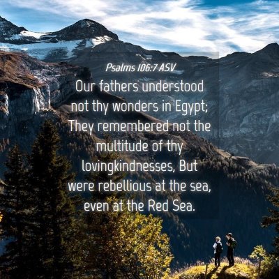 Picture 04 - Psalms 106:7 ASV - Our fathers understood not thy wonders in Egypt; - Bible Verse Picture