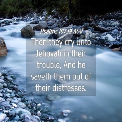 Picture 04 - Psalms 107:19 ASV - Then they cry unto Jehovah in their trouble, And - Bible Verse Picture