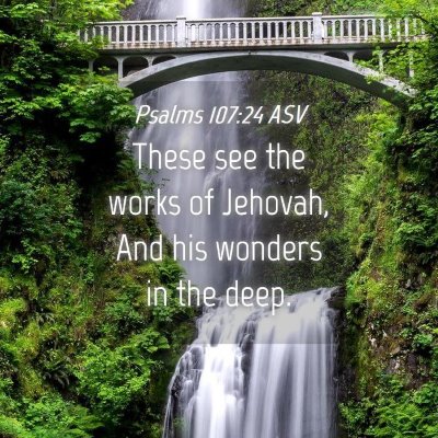 Picture 04 - Psalms 107:24 ASV - These see the works of Jehovah, And his wonders - Bible Verse Picture