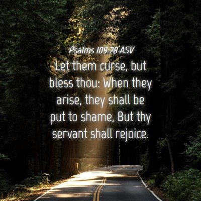 Picture 04 - Psalms 109:28 ASV - Let them curse, but bless thou: When they arise, - Bible Verse Picture