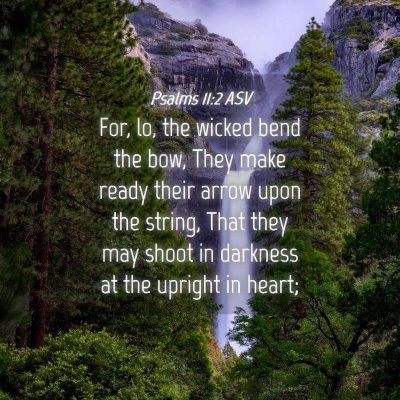 Picture 04 - Psalms 11:2 ASV - For, lo, the wicked bend the bow, They make ready - Bible Verse Picture