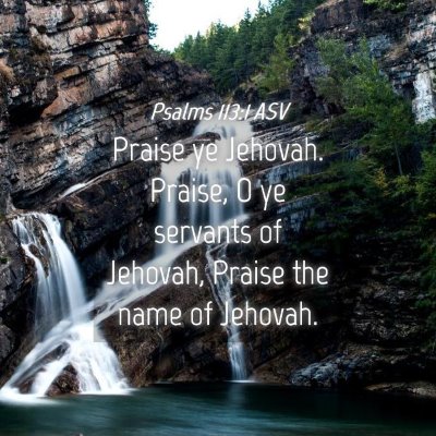 Picture 04 - Psalms 113:1 ASV - Praise ye Jehovah. Praise, O ye servants of - Bible Verse Picture
