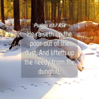 Picture 04 - Psalms 113:7 ASV - He raiseth up the poor out of the dust, And - Bible Verse Picture